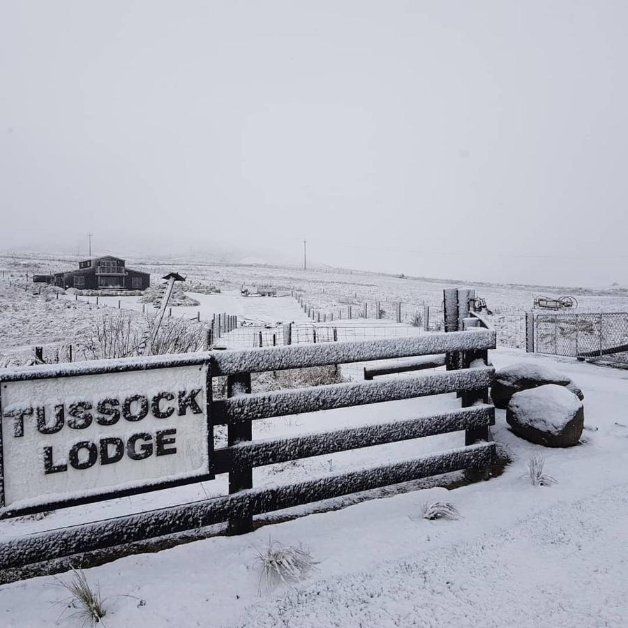 Tussock Lodge - Waipiata Eksteriør billede